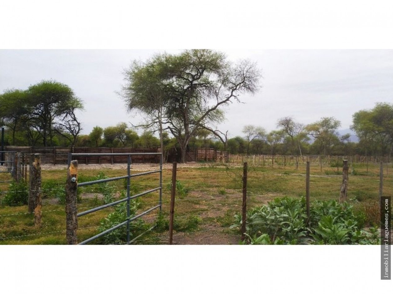 Finca para Feedlot a Estrenar a 15 kms. de Güemes, Salta
