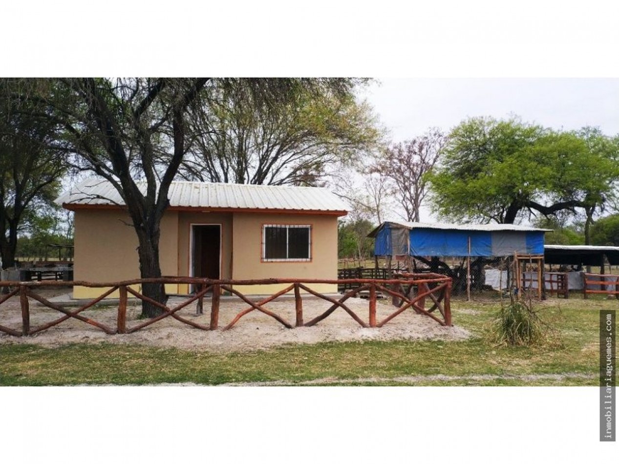 Finca para Feedlot a Estrenar a 15 kms. de Güemes, Salta